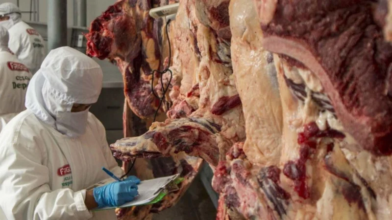 Evo cree que suspender exportación de carne es peor que el 21060