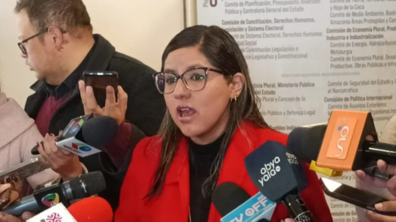 Diputada Claros: "No hay ley de litio que establezca 3% de regalías para Potosí"