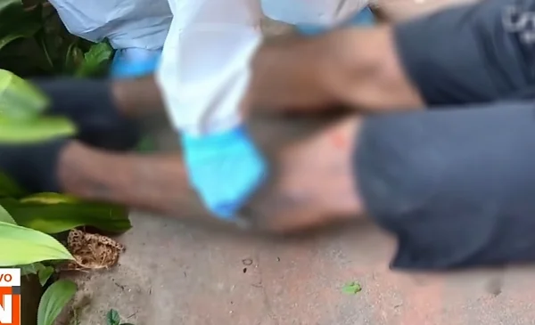 Investigan la muerte de un joven tras caer de un segundo piso en ...