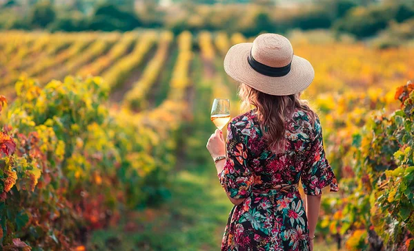 El enoturismo conecta vino y territorio para diversificar la oferta turística de forma sostenible| Red Uno de Bolivia