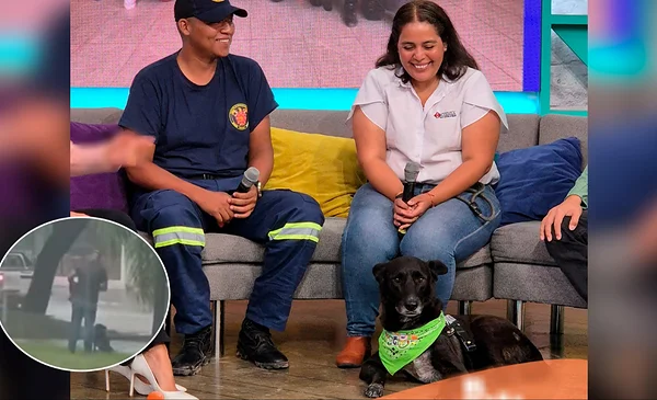 ¡Héroe sin capa! José Carlos contó cómo rescató a Negrito, el perrito ...