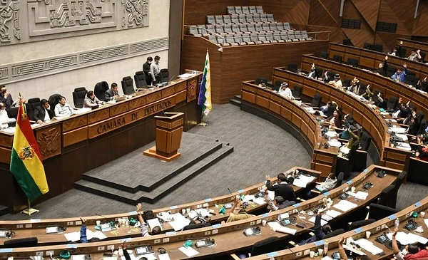 Diputados aprueban en grande y detalle el proyecto de ley de debate ...