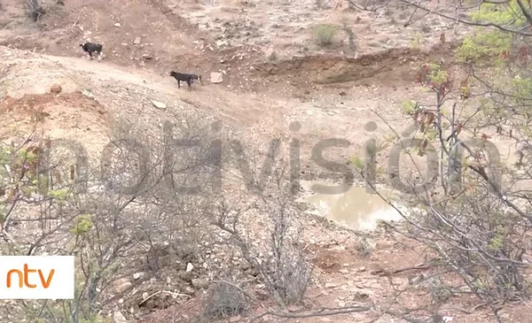 Preocupación por la temporada de sequía en municipios del Cono Sur y ...