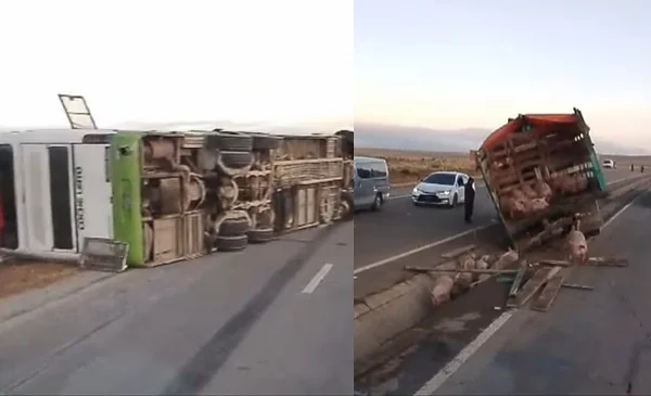 Triple colisión en la carretera La Paz - Oruro dejó heridos y daños ...