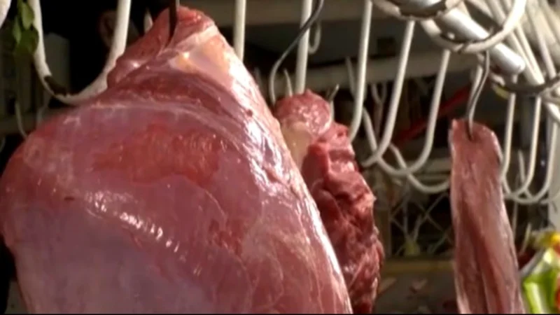 Ministerio de Desarrollo Rural descarta importación de carne bovina