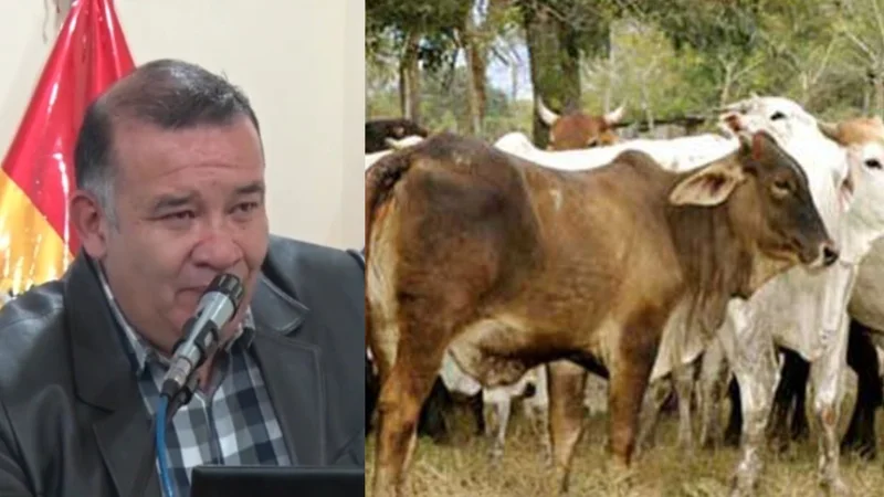Director del INE: “¿El precio del pasto se cotiza en dólares?”