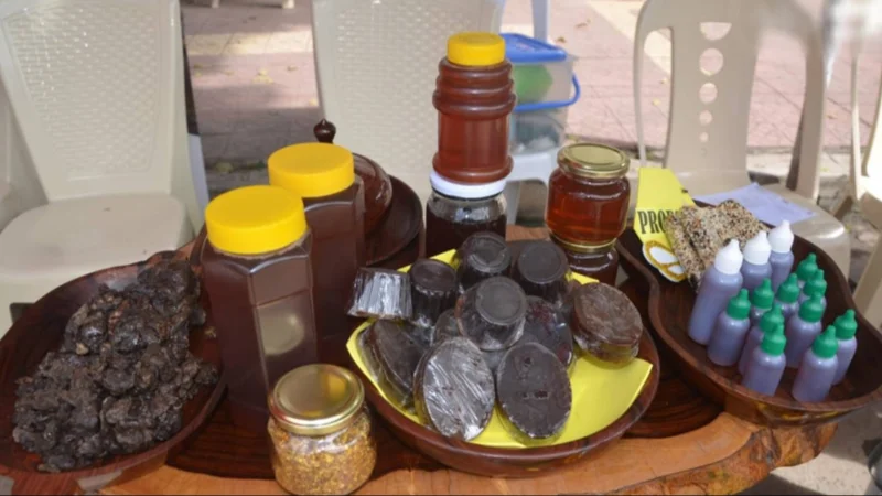La miel será la protagonista en la Feria Nacional de Apicultura de Monteagudo
