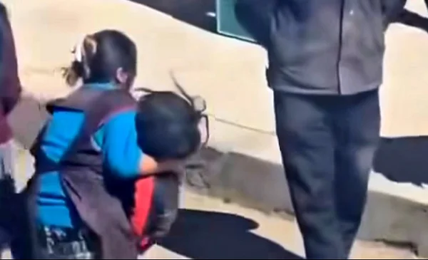 Niña de siete años fue atropellada en El Alto; conductor se dio a la ...