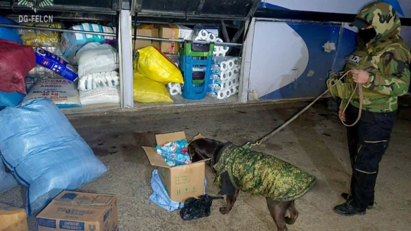 ‘Gloria’, la heroína canina de la Felcn, detecta sustancia controlada en una flota en Oruro