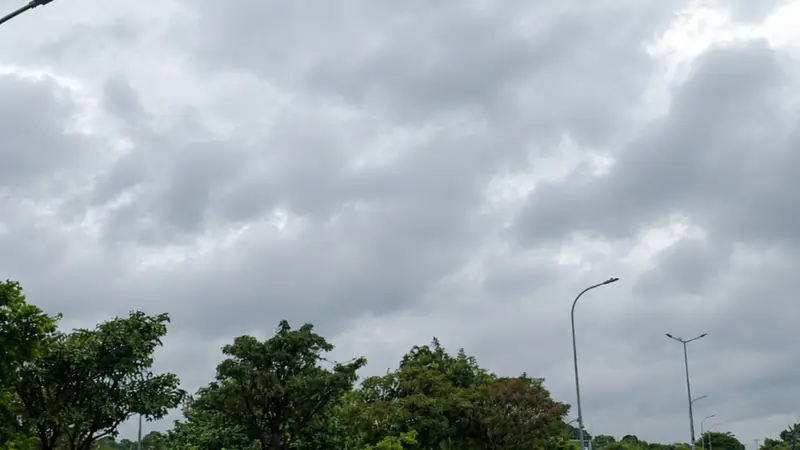 Frío, nubosidad y lluvias marcarán la jornada de este lunes. Frío, nubosidad y lluvias marcarán la jornada de este lunes.