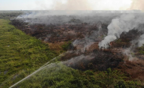 Cuatro Incendios Forestales Activos En Santa Cruz Hay Más De 29 Mil Hectáreas Afectadas Red 6872