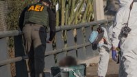 ¡Atroz! Dejan cabeza humana frente a un zoológico, acompañada de un mensaje
