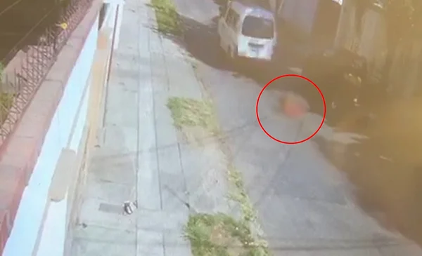 "No le importó": Un conductor atropella a un perro y se da a la fuga ...