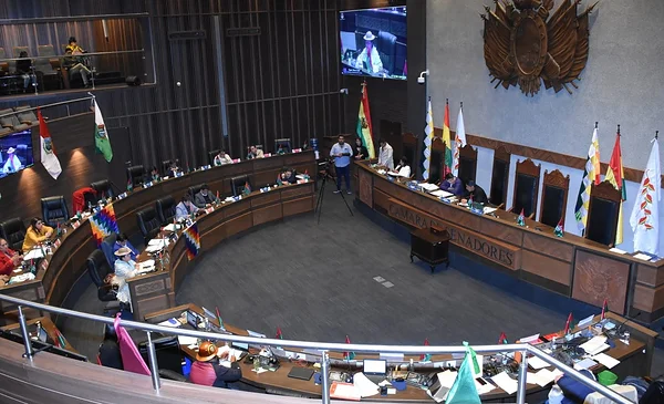 Por unanimidad, el Senado aprobó la adhesión de Bolivia al Mercosur ...