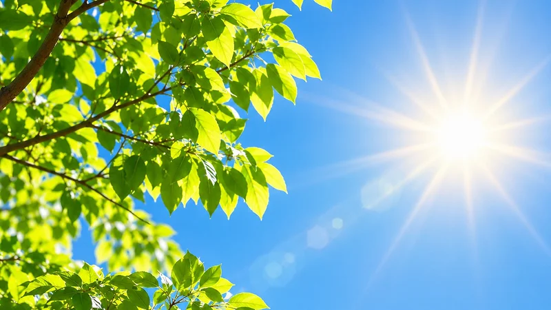 Cielos despejados y temperaturas en ascenso en el oriente este martes. Foto: imagen referencial. Cielos despejados y temperaturas en ascenso en el oriente este martes. Foto: imagen referencial.