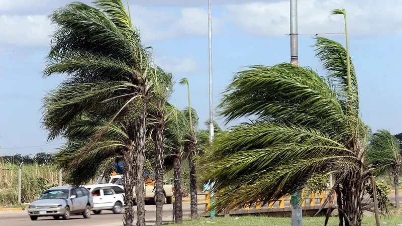 ¡Vientos peligrosos! Cuatro departamentos están bajo alerta naranja ¡Vientos peligrosos! Cuatro departamentos están bajo alerta naranja