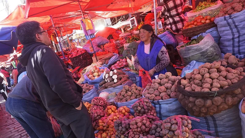 Precios de la canasta familiar se estabilizan en La Paz Precios de la canasta familiar se estabilizan en La Paz