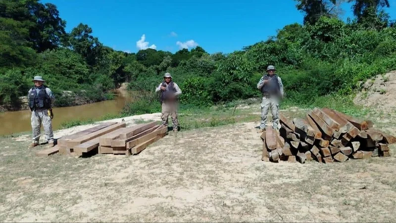 Armada Boliviana frena cargamento ilegal de madera valuado en más de Bs 16.000 en Pando. Foto Armada Boliviana. Armada Boliviana frena cargamento ilegal de madera valuado en más de Bs 16.000 en Pando. Foto Armada Boliviana.