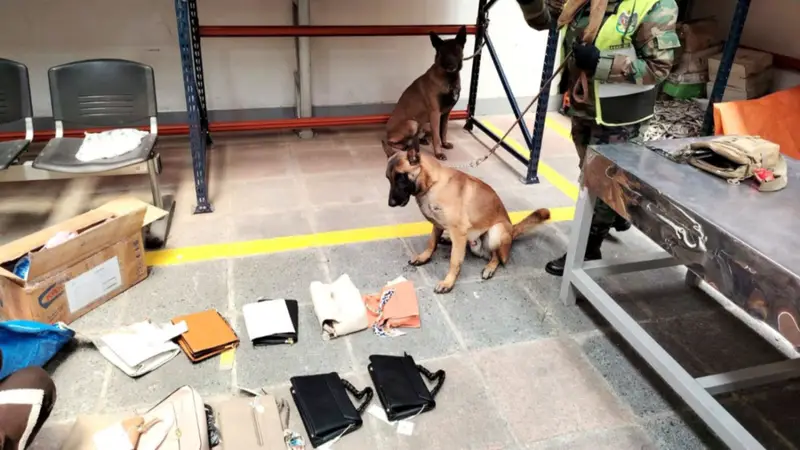 'Venon' detectó droga camuflada en carteras que debían ser enviadas a India y Australia