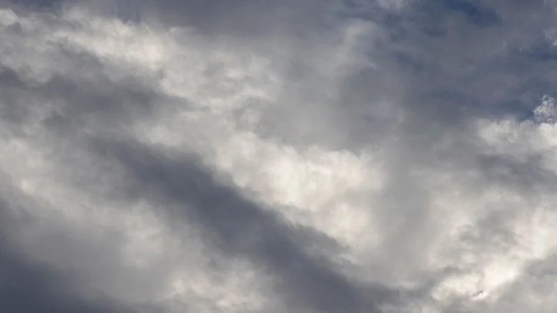 Foto: Referencial. Pexels. Foto: Referencial. Pexels.