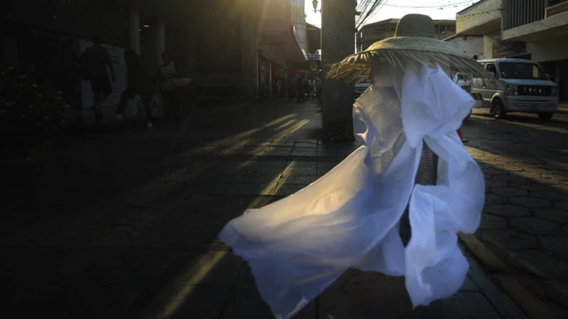 Creatividad en Halloween: Una fotografía capta la esencia de la cultura cruceña. 