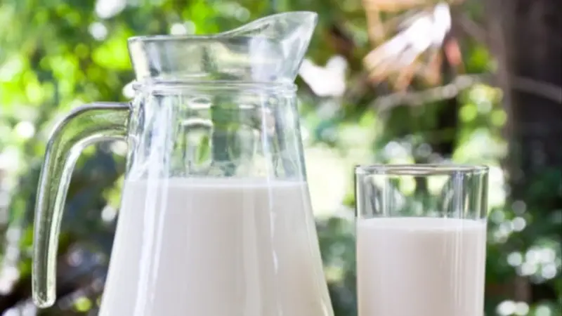 Productores proponen precio de Bs 7 por litro de leche cruda.     Foto: Referencial.