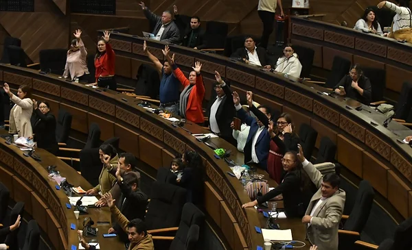 Asamblea sancionó la ley de diferimiento de créditos en su última y ...
