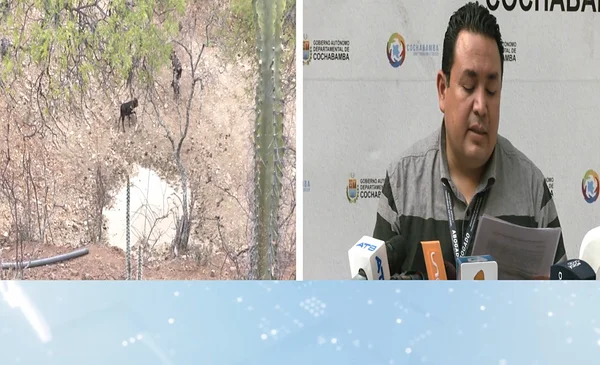 La sequía afecta a municipios del Cono Sur de Cochabamba| Red Uno de ...