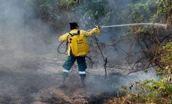 Nueve Incendios Forestales Golpean Seis Municipios De Santa Cruz Red Uno De Bolivia 0352